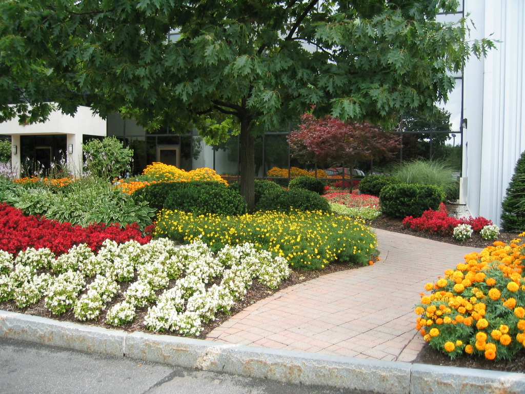 A picture of a beautiful flower planting by Rick Kier